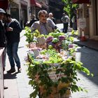 Istanbul Obstverkäufer