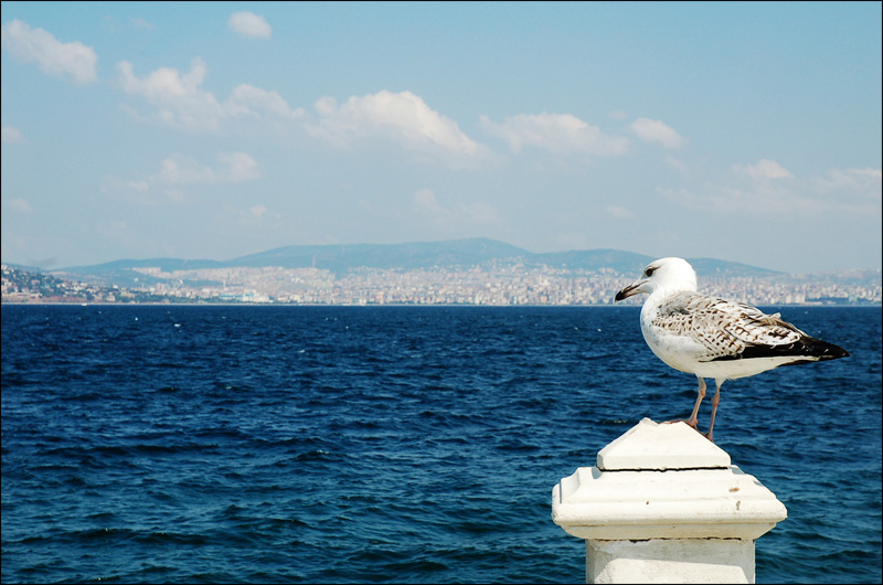 Istanbul: Prinzeninseln