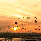 Istanbul Sonnenuntergang