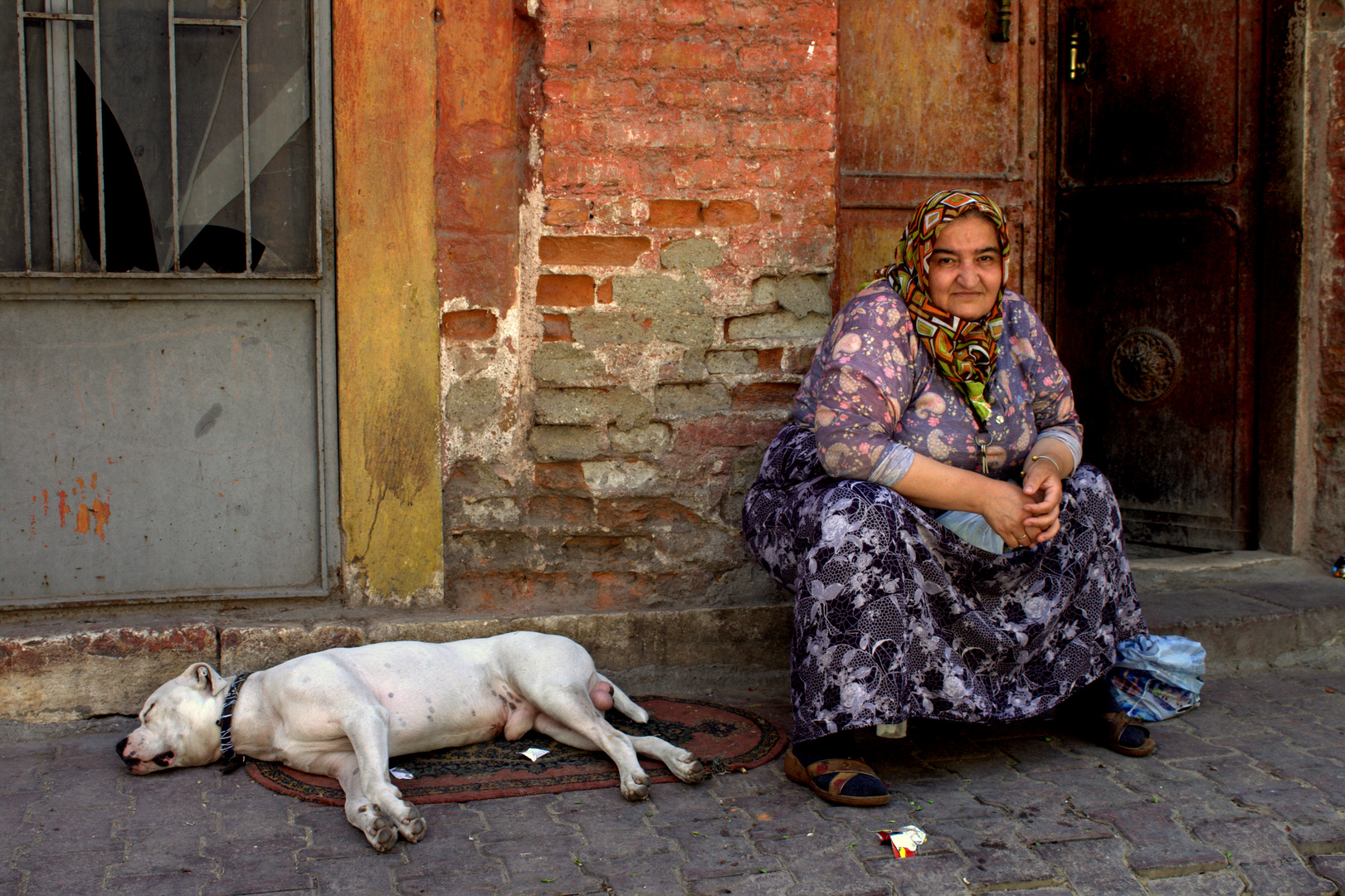 ISTANBUL_TARLABASI