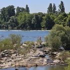 Isteiner Schwellen im Rhein (003_2016_07_10_EOS 100D_0211_ji)