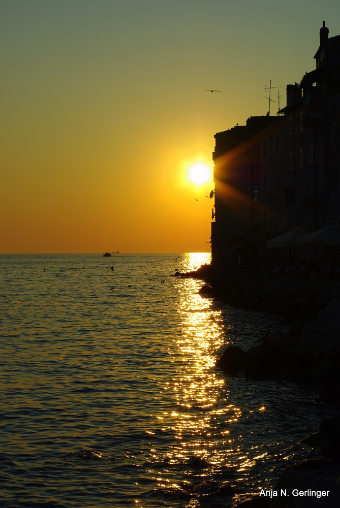 Istrien - Rovinj