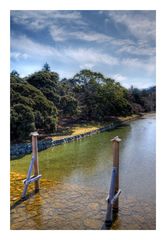 Isuzu River [in Ise Shrine]