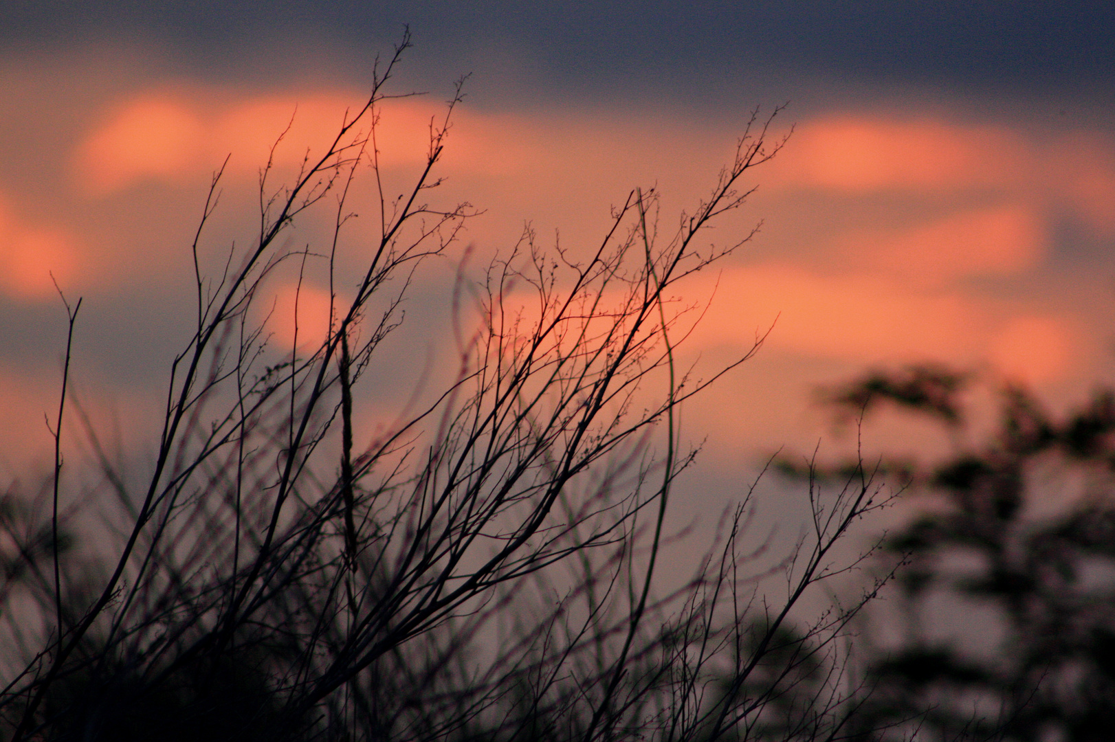 It is said that as soon as the sun kisses the horizon, even the plants go to sleep.