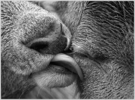 - - It Must Have Been Love - -