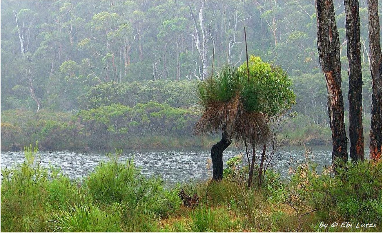 * It rains at Frankland River *