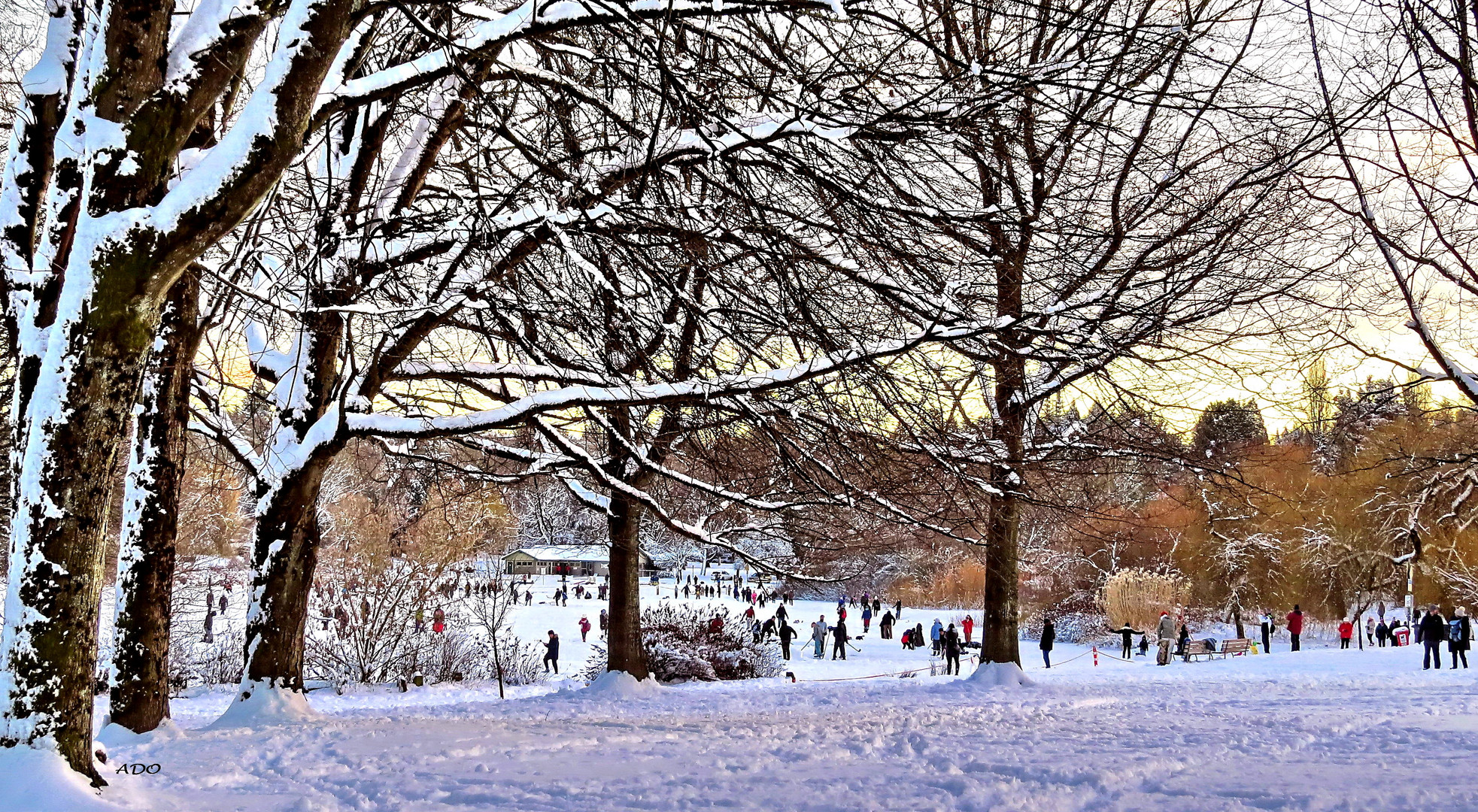 It Snowed Last Night