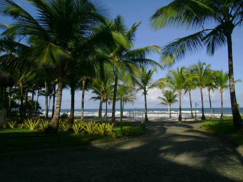 Itacaré- Bahia. Brasil