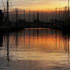 Italian Duck in Glowing Genova Sundown Harbor (2002)