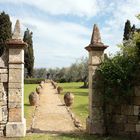 Italian gardens