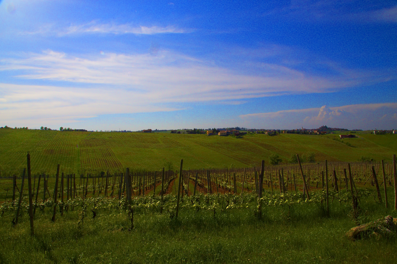 Italian hills and grapeyards