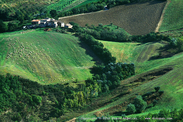 italian holiday  - verde italiano - italian landscape