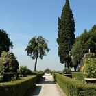 Italian impressions XVII.