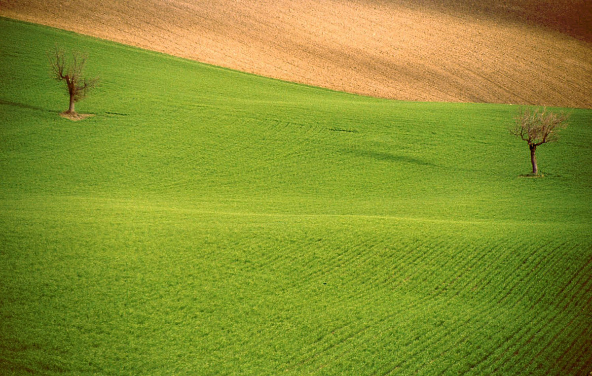 " Italian landscape "