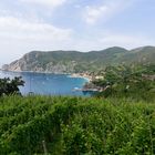 Italien, Cinque Terre: Monterosso