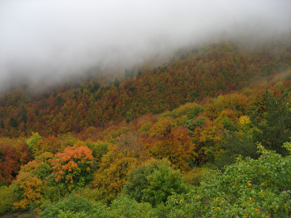 Italien im Herbst