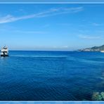 italien ischia fungi / fungo