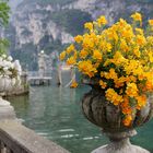 Italien_Gardasee_Garda_Steinbalustrade mit schönen gelben Blumen