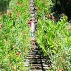 Italienische Blumentreppe auf Mainau