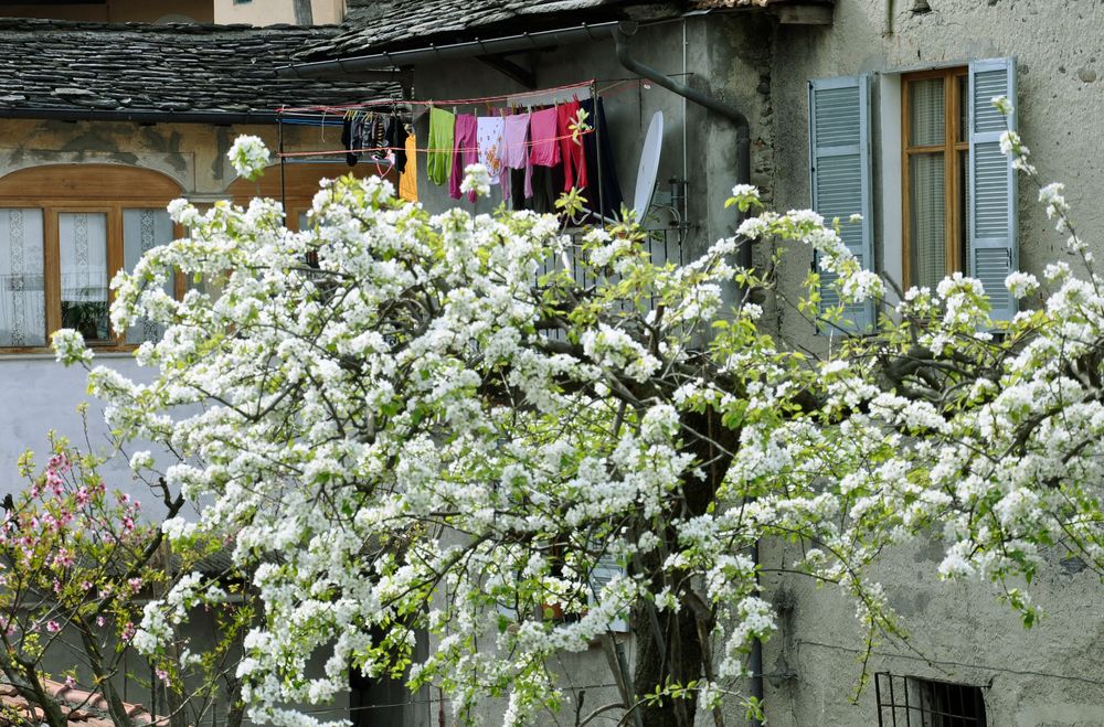 Italienische Frühlingsimpression (Orta San Giuglio)