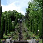 Italienische Treppe - Insel Mainau