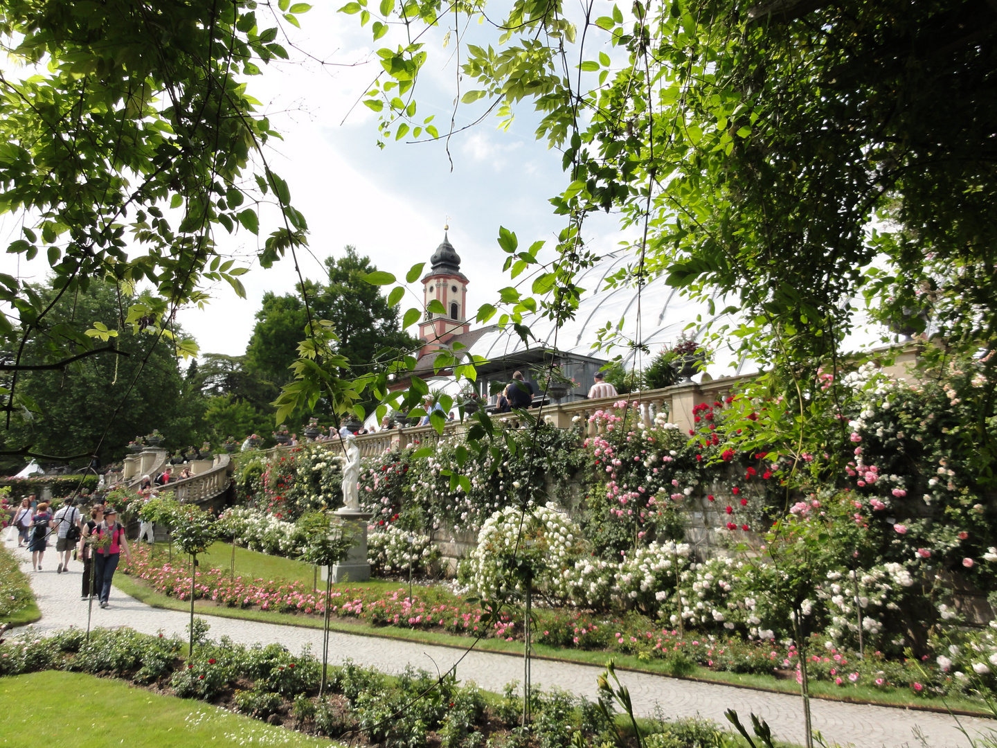 Italienischer Rosengarten auf der Mainau, Mainau im Juni