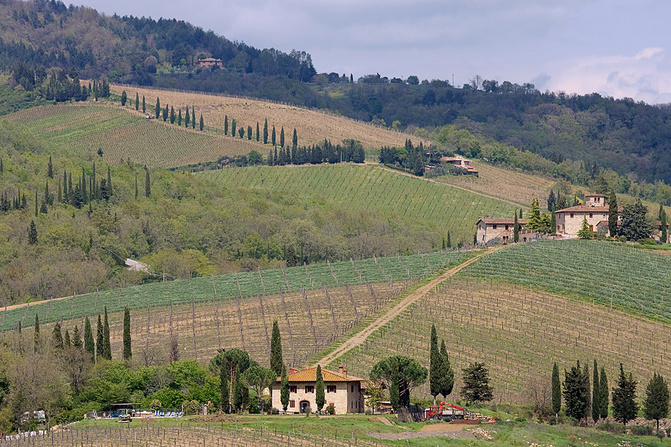 italienischer Wein