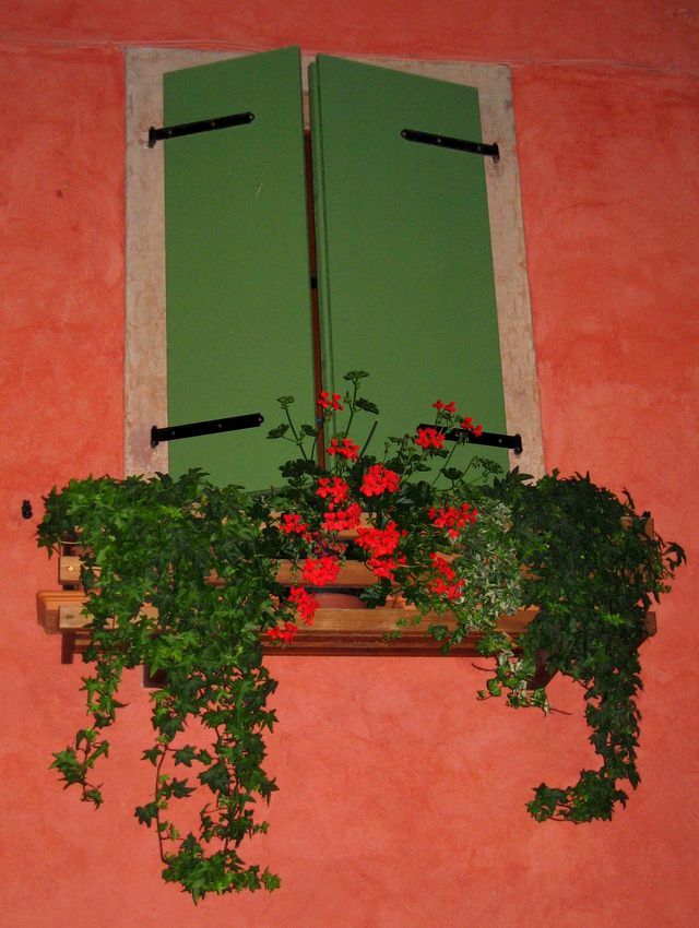 italienisches Blumenfenster...