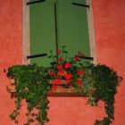 italienisches Blumenfenster...