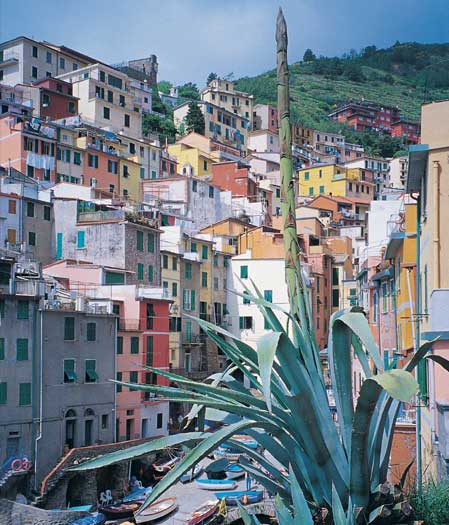 italien_riomaggiore_ligurien