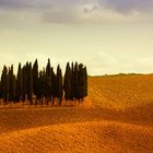 Italy Toscana