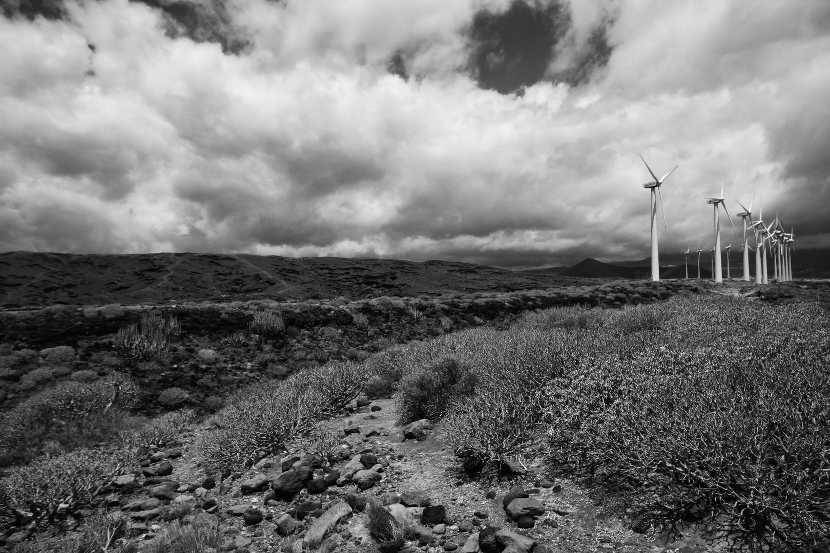 ITER Windpark