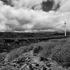 ITER Windpark