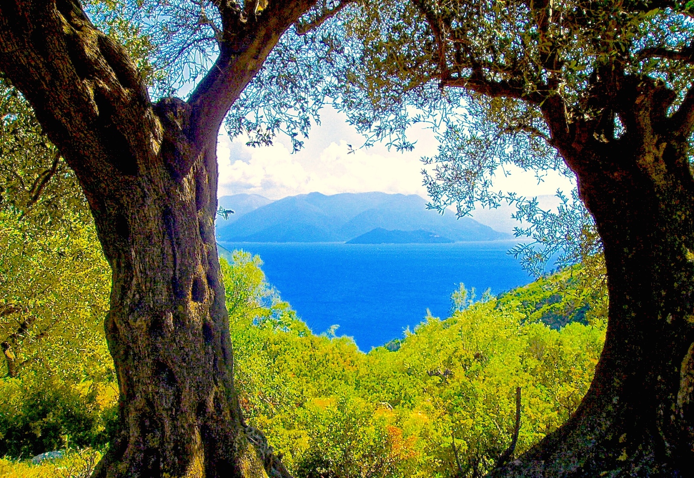 ITHACA VISTA DA KEFALONIA