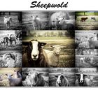 Its a Sheep World