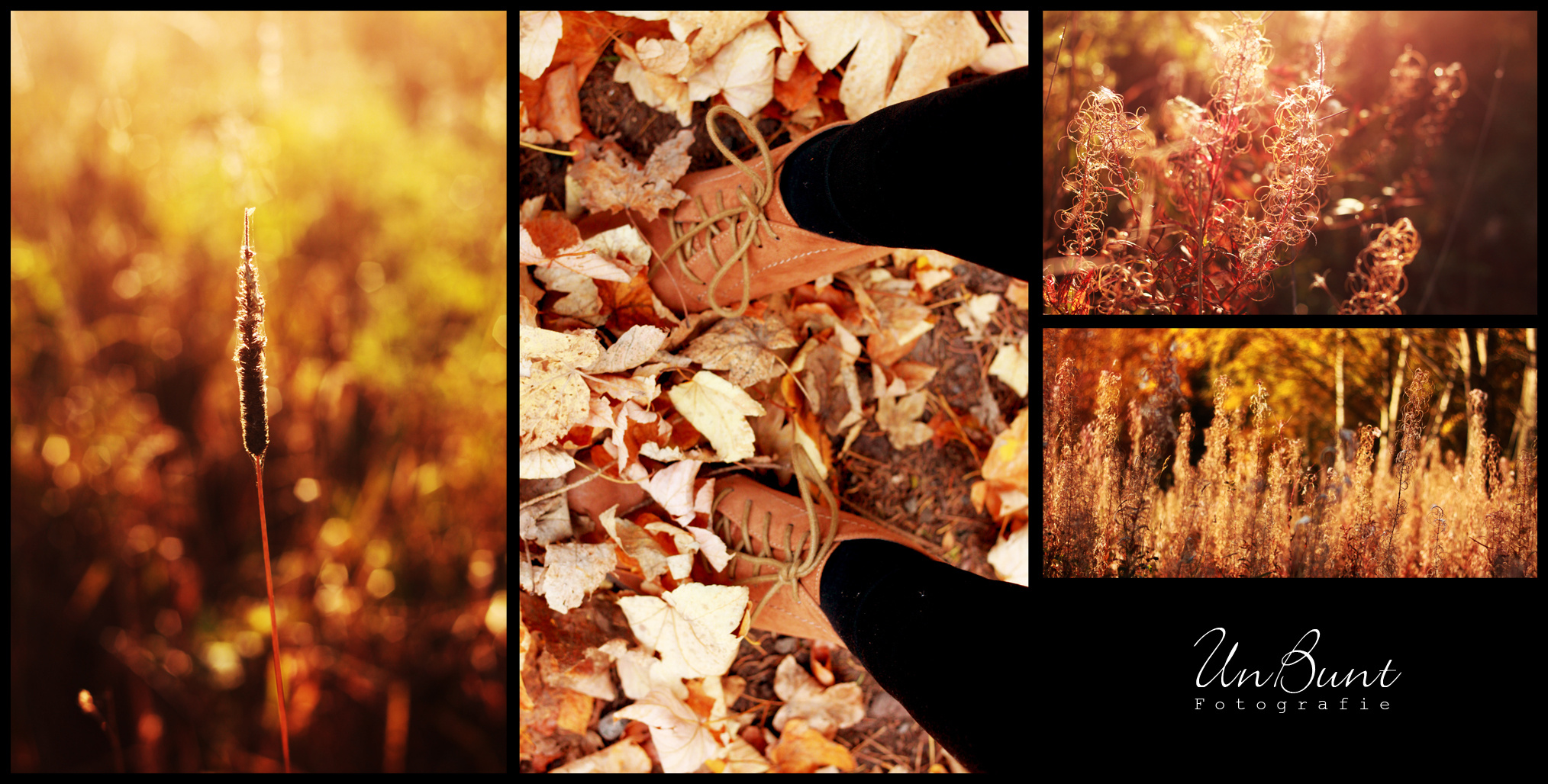 Its autumn - i love it.