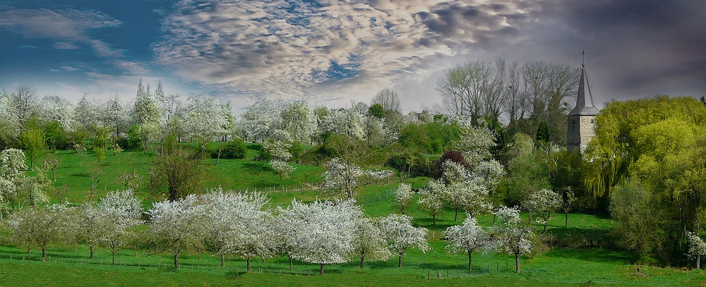 It’s blossoms time (1)