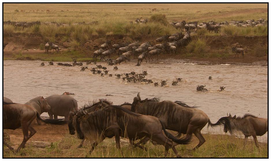 It´s crossing-time