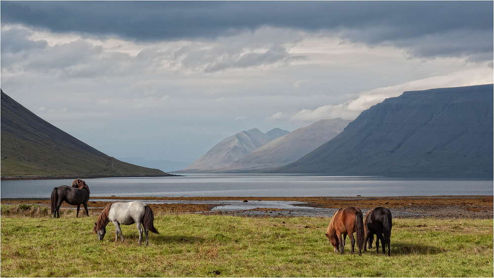 It's Iceland..