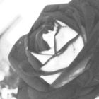 it's just a rose.......