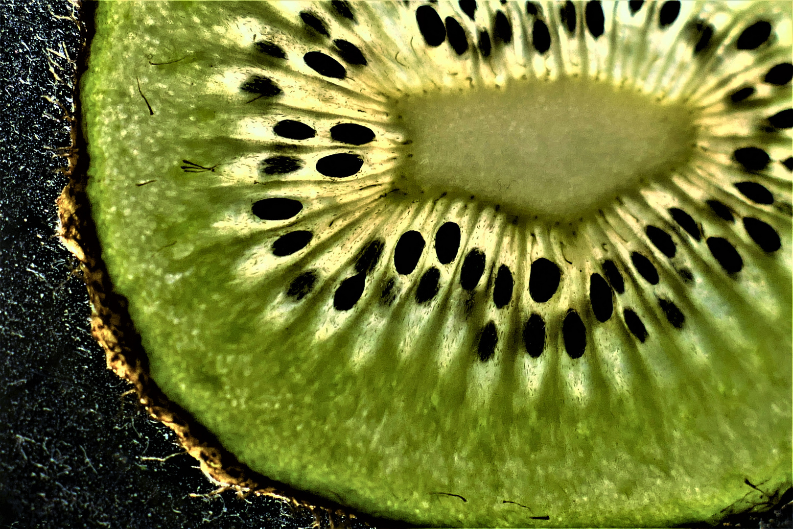 its kiwi-time