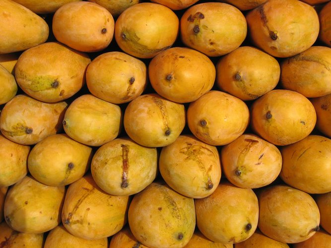 It's Mango season...