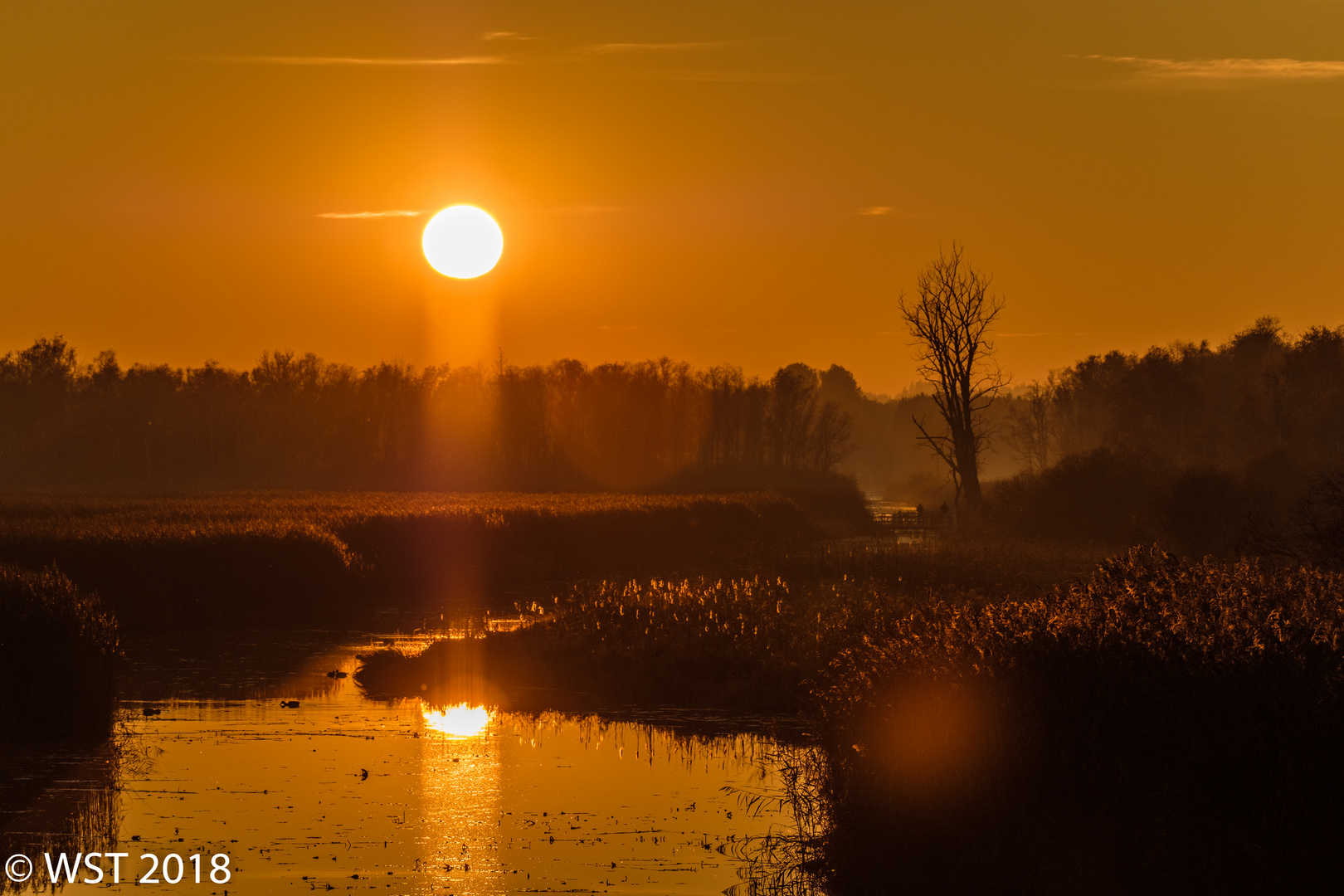 it's not "Sunset Boulevard" - it's "Sunset Federsee"