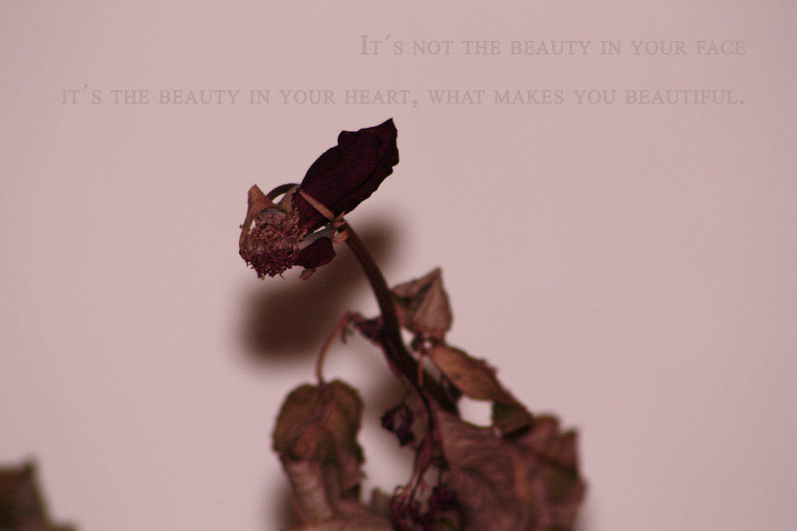 It´s not the beauty in your face, it´s the beauty in you heart.