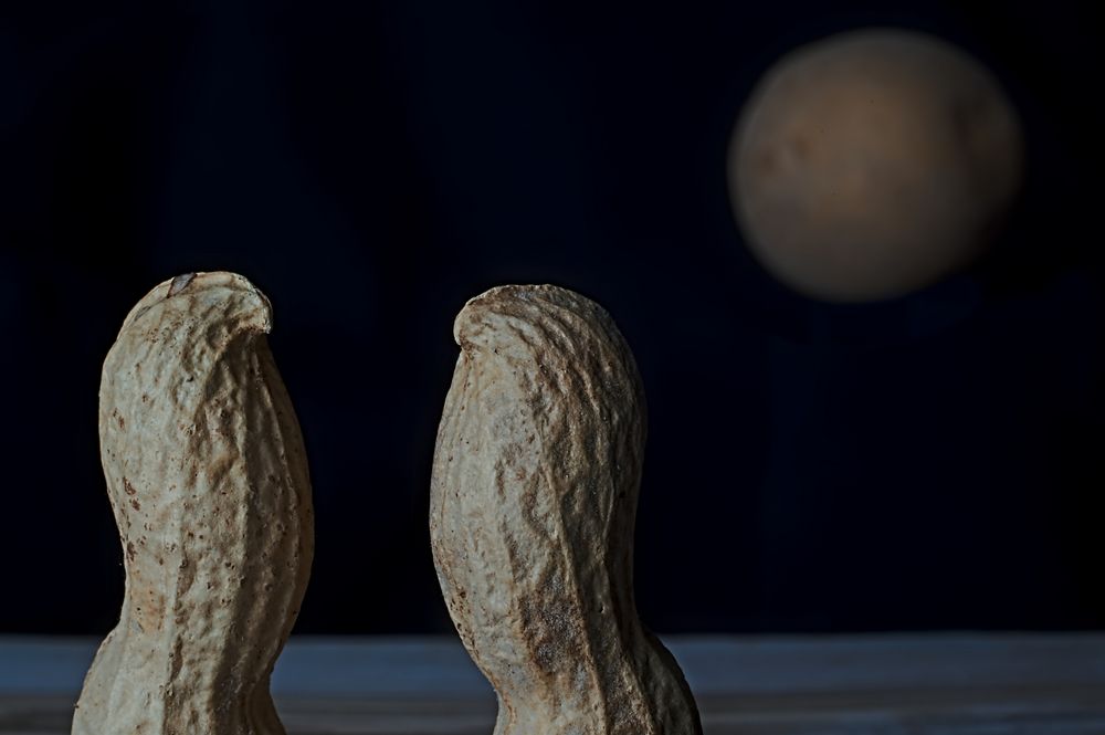 It's only a Potato Moon Foto & Bild stillleben, foodfotografie, naturkreativ Bilder auf