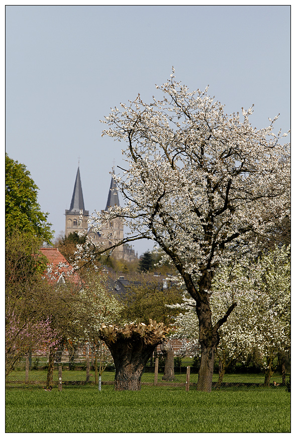 It's Pfrühling again :-)