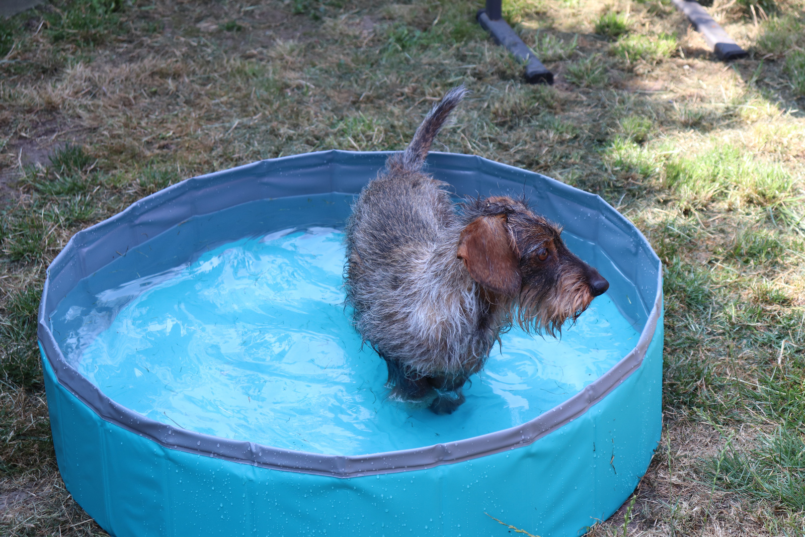 It´s Pooltime.....