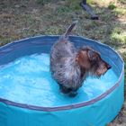 It´s Pooltime.....