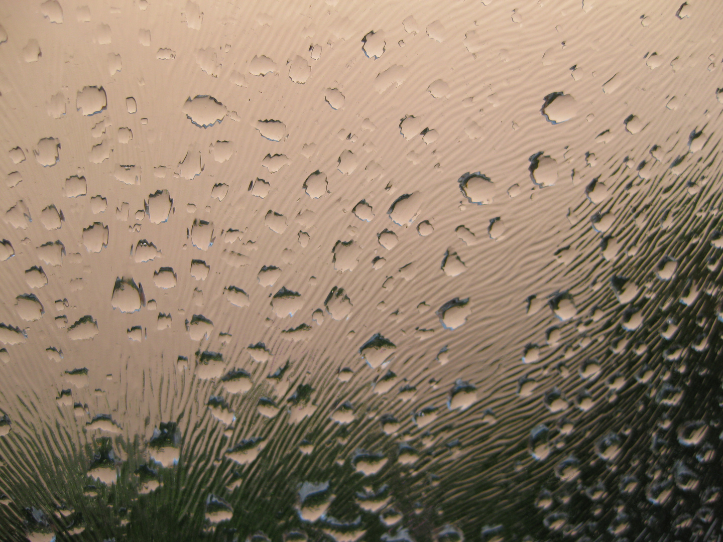 It´s raining (18.08.2014)