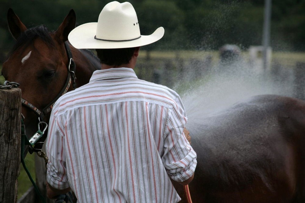 it´s raining cowboy